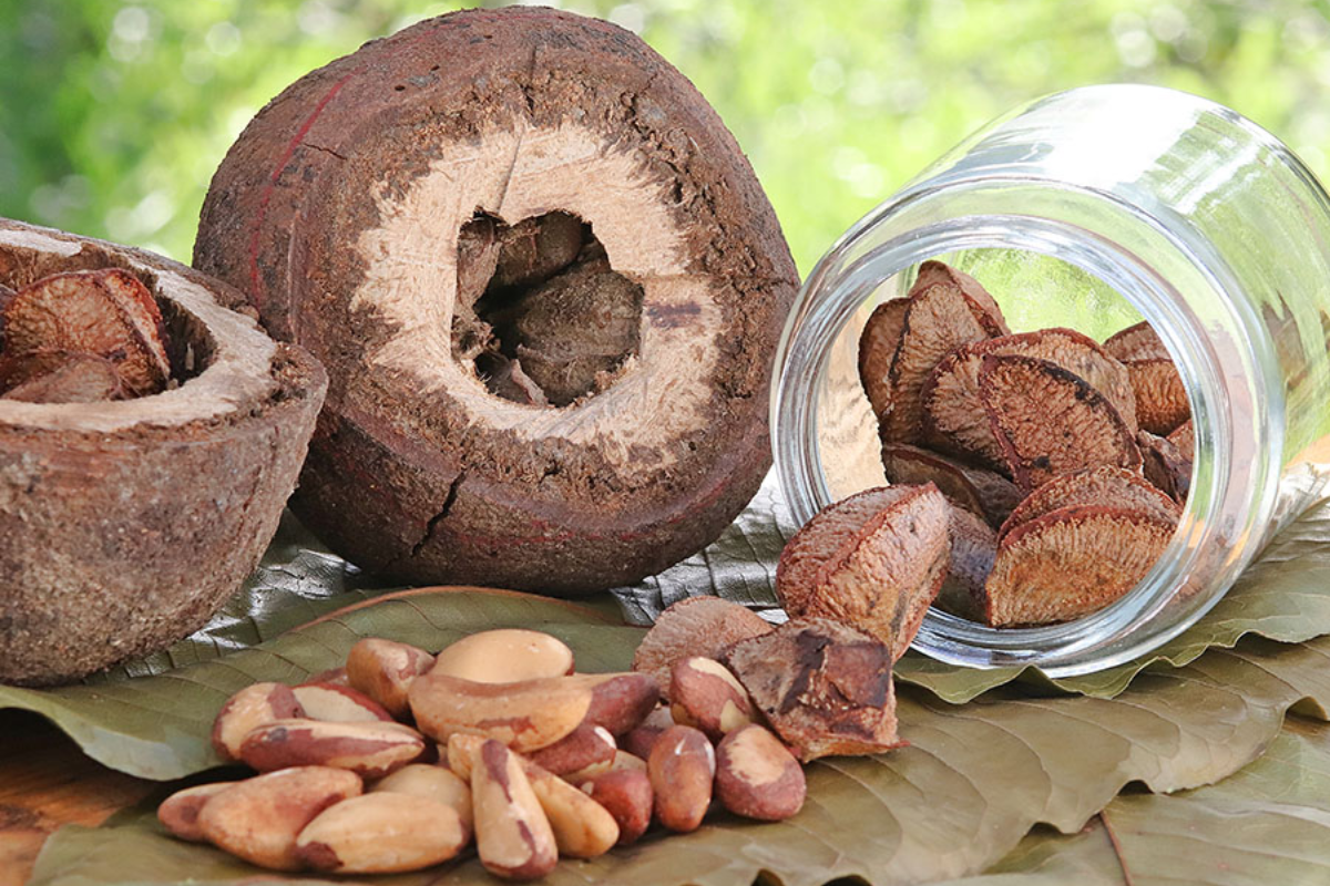 Descrição da imagem