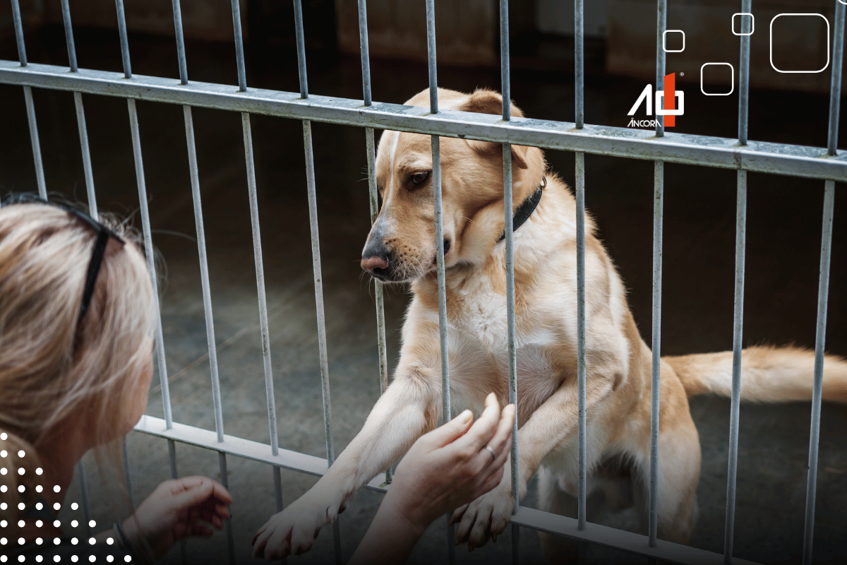 Descrição da imagem