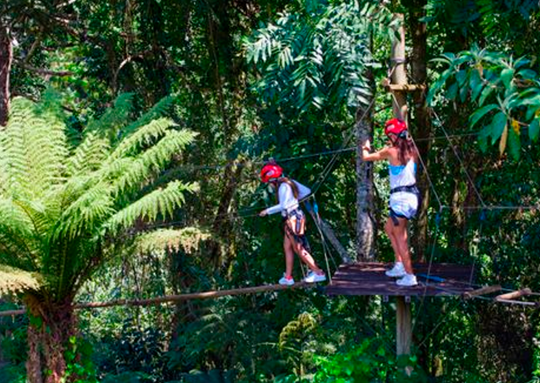 Hopi Hari, Aquário de São Paulo, São Roque, são alguns dos destinos em destaque