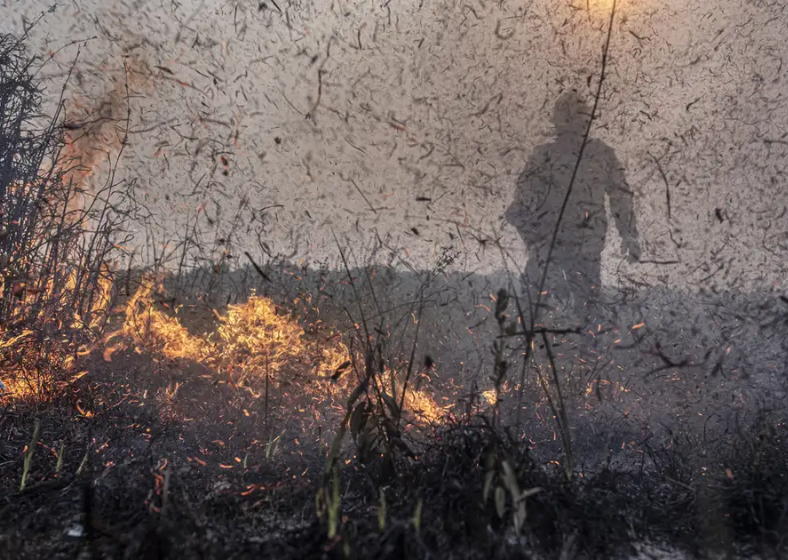 De acordo com o governo federal, há 3.732 profissionais em campo atuando no enfrentamento aos incêndios florestais na Amazônia, Pantanal e Cerrado. Também foram disponibilizadas 28 aeronaves.