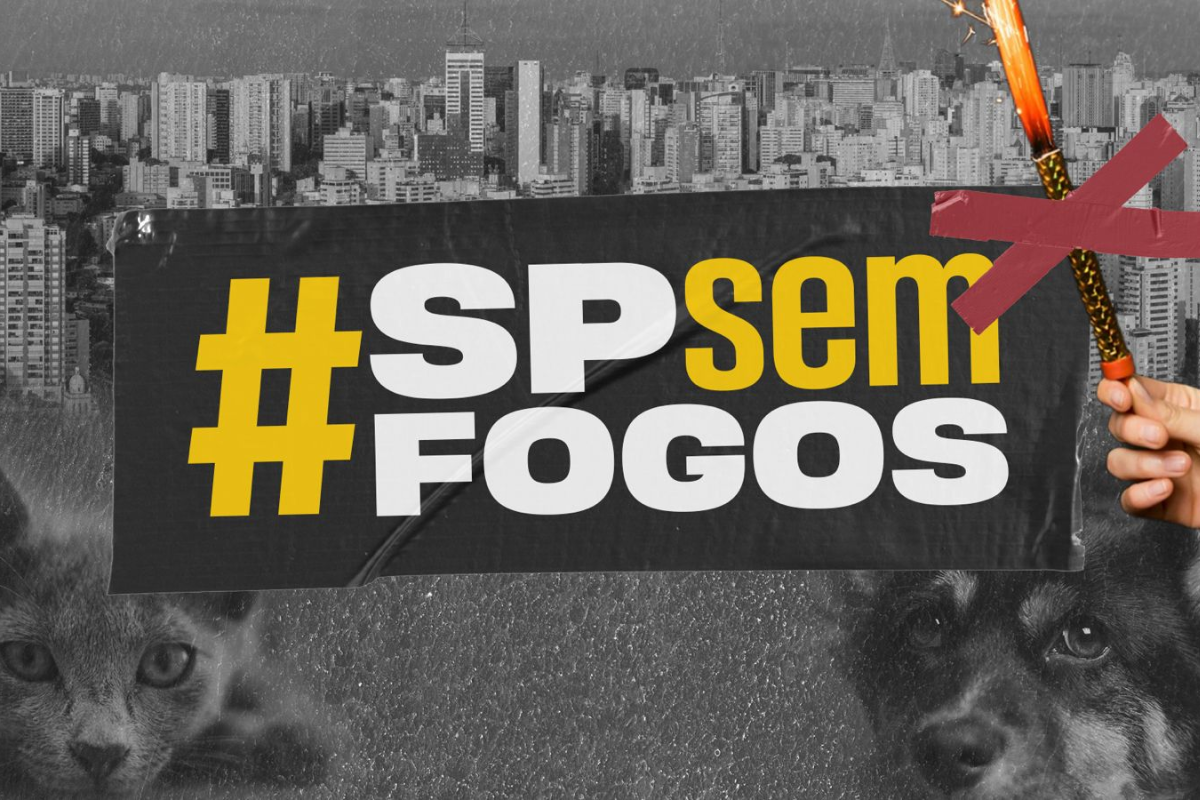 Descrição da imagem