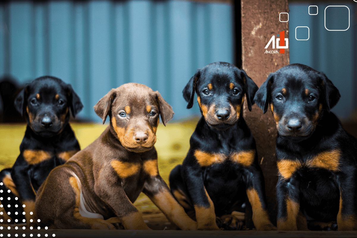 Descrição da imagem