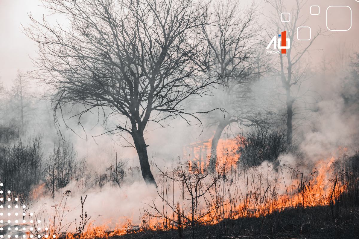 Descrição da imagem