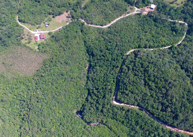 A Estação Ecológica Bananal é uma das 13 unidades de conservação que permanecerão fechadas. São parques em áreas sem chuva e com focos de incêndio no entorno.