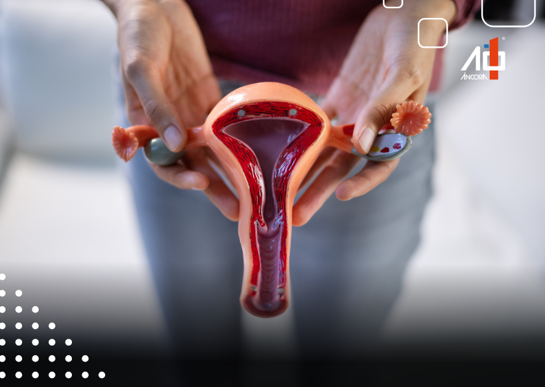 Descrição da imagem