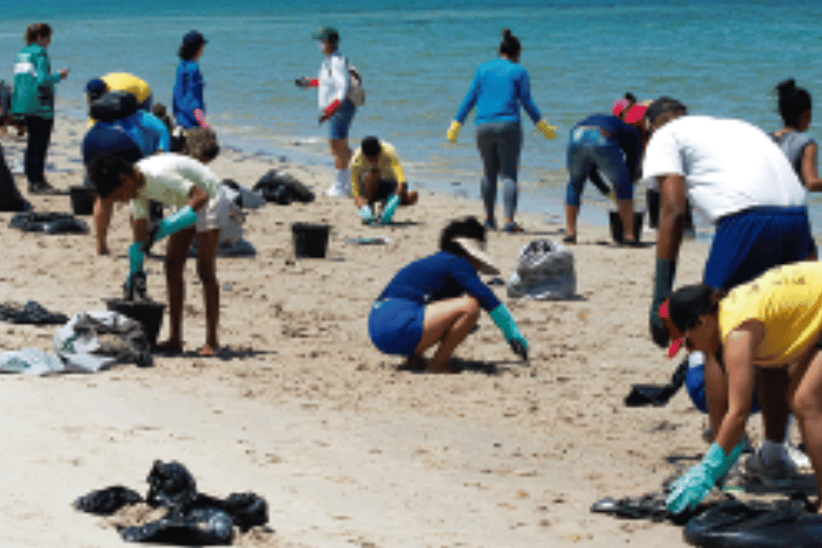 Descrição da imagem