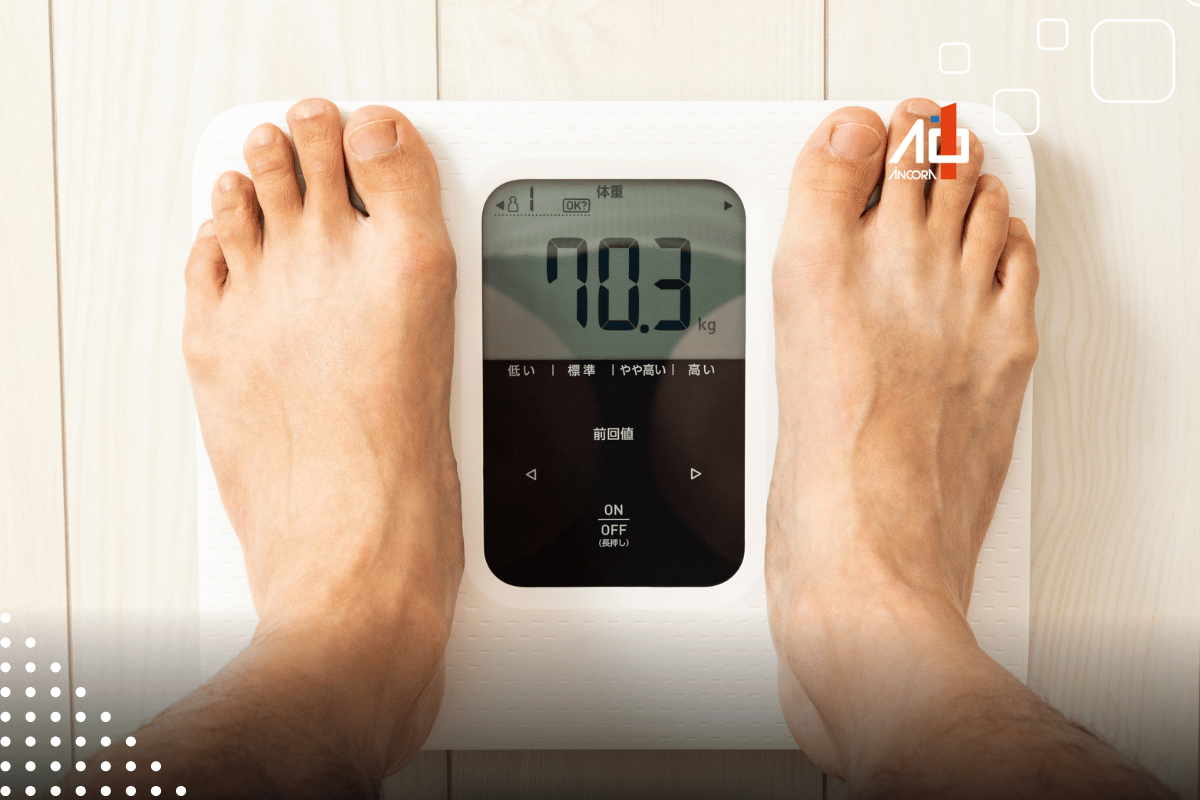 Descrição da imagem