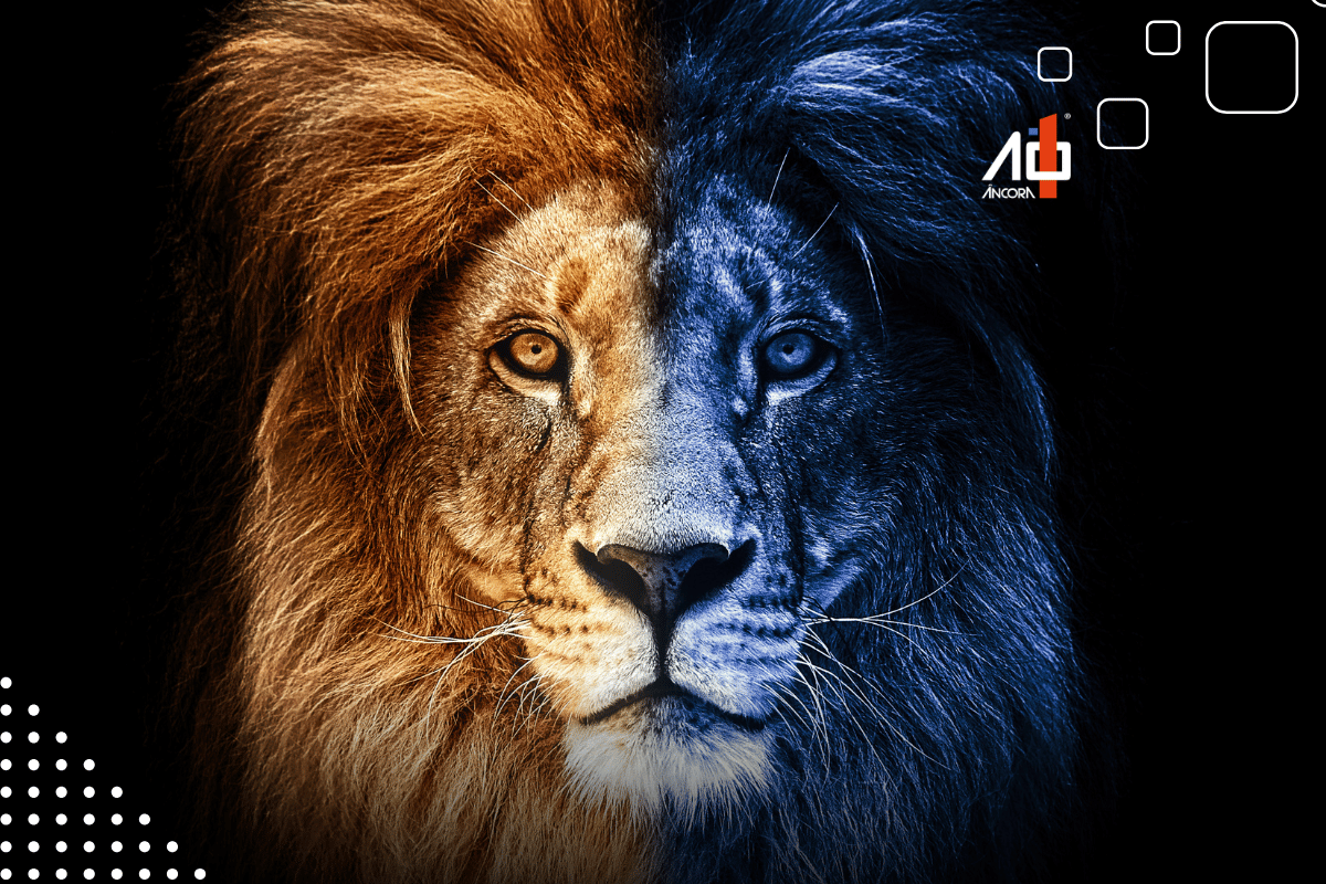 Descrição da imagem