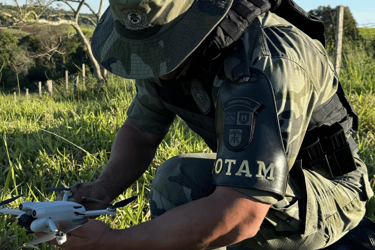 Descrição da imagem