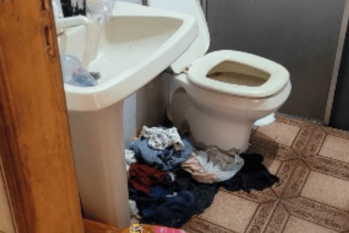 Descrição da imagem