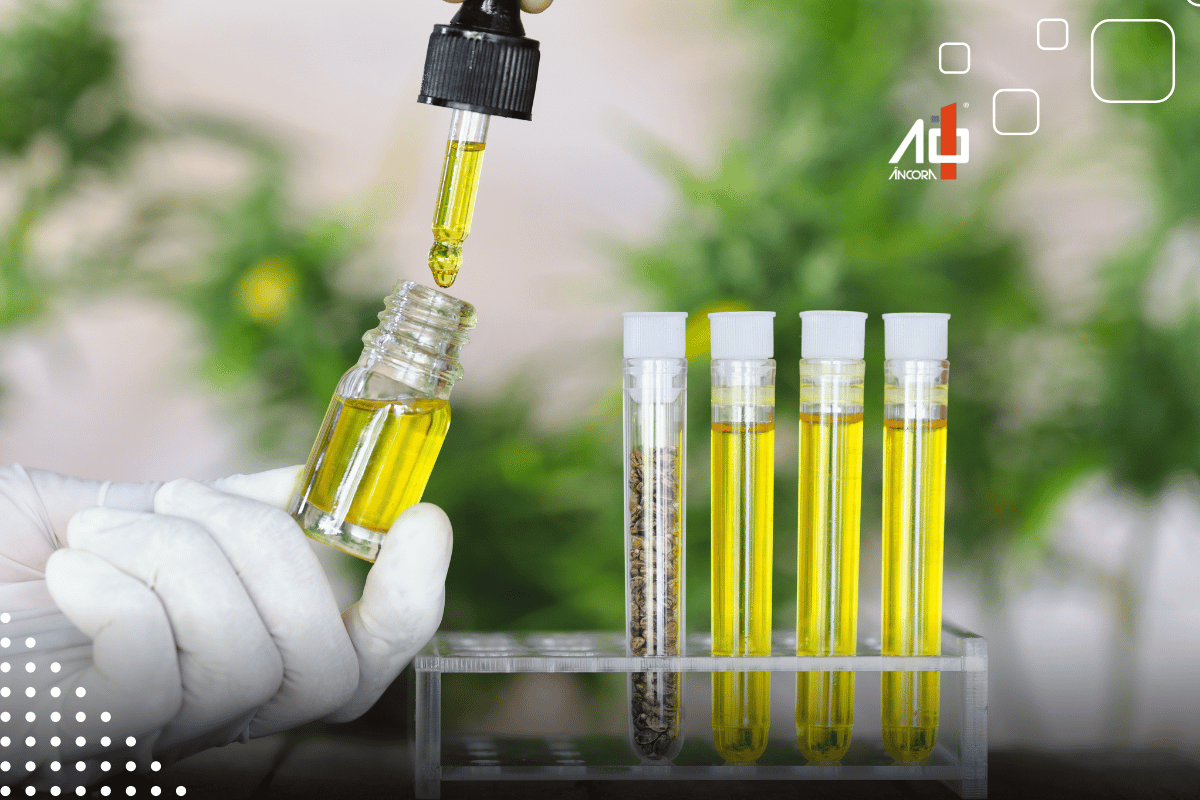 Descrição da imagem