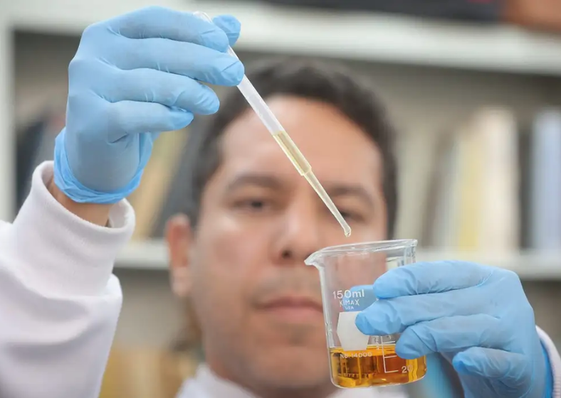 Descrição da imagem