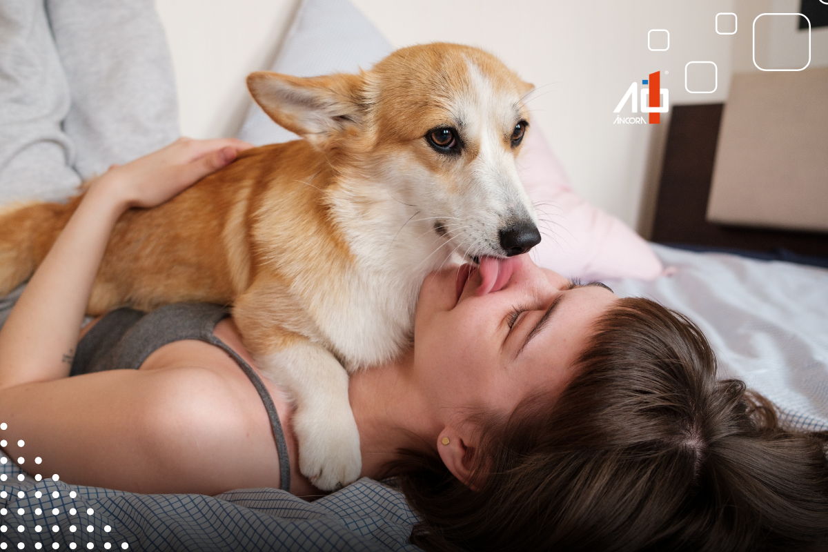 Descrição da imagem