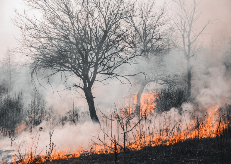 . A participação popular auxiliará o ministério a conhecer as principais demandas das cidades e ajudará a saná-las em meio ao impacto das mudanças climáticas.