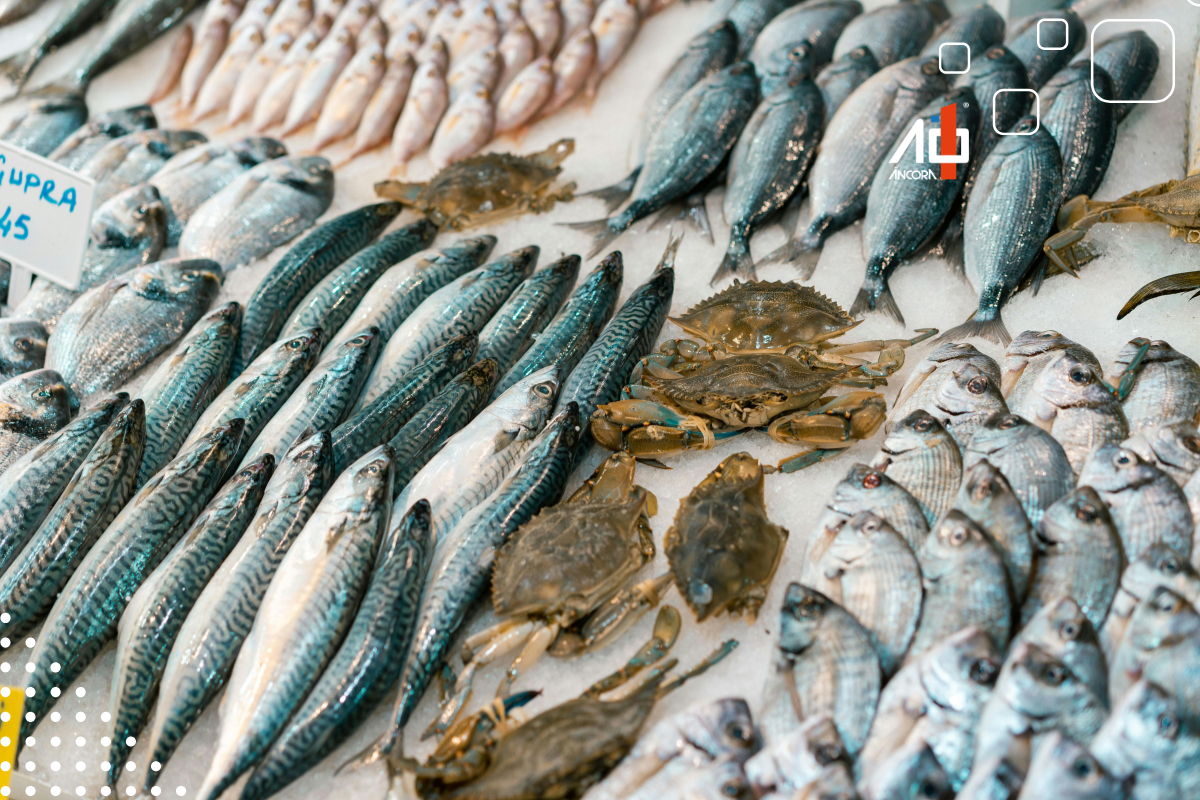 Descrição da imagem