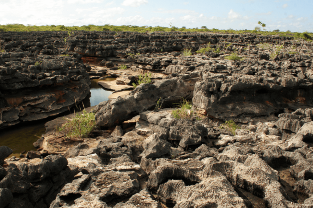 Descrição da imagem