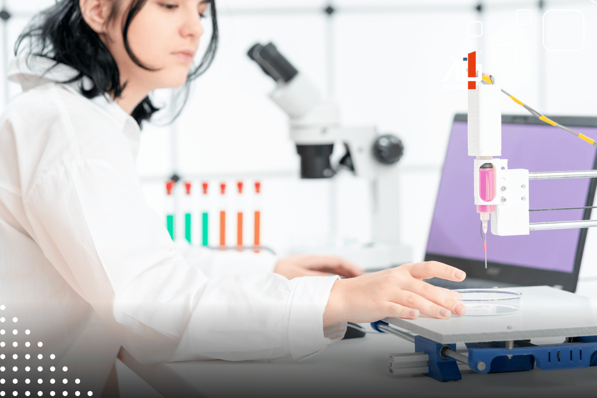 Descrição da imagem