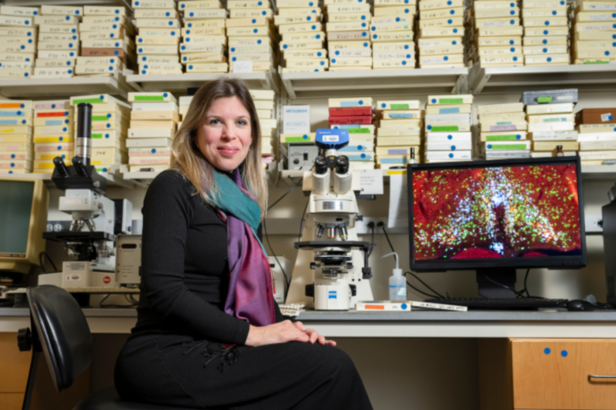 Descrição da imagem