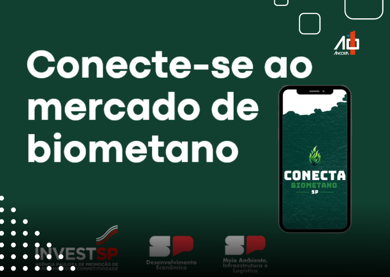 O combustível é uma das apostas de São Paulo para reduzir as emissões de gases do efeito estufa, principalmente porque o Estado é o maior produtor mundial de cana-de-açúcar