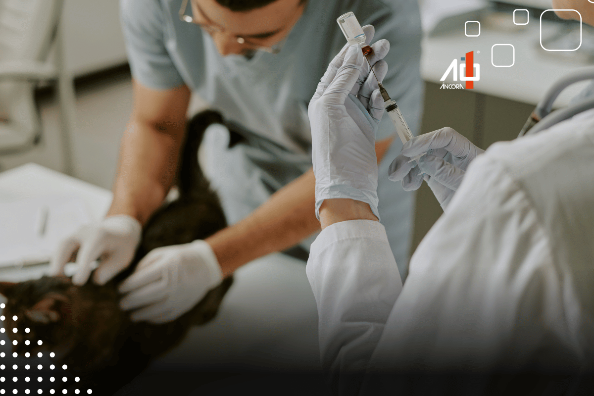 Descrição da imagem