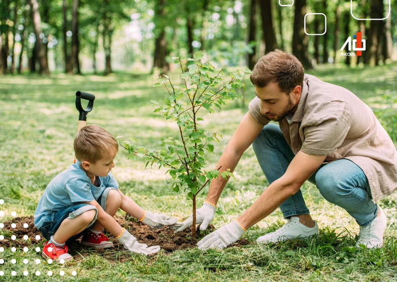 Munícipes interessados em plantar uma árvore em frente às suas residências podem entrar em contato com a Coordenadoria do Meio Ambiente