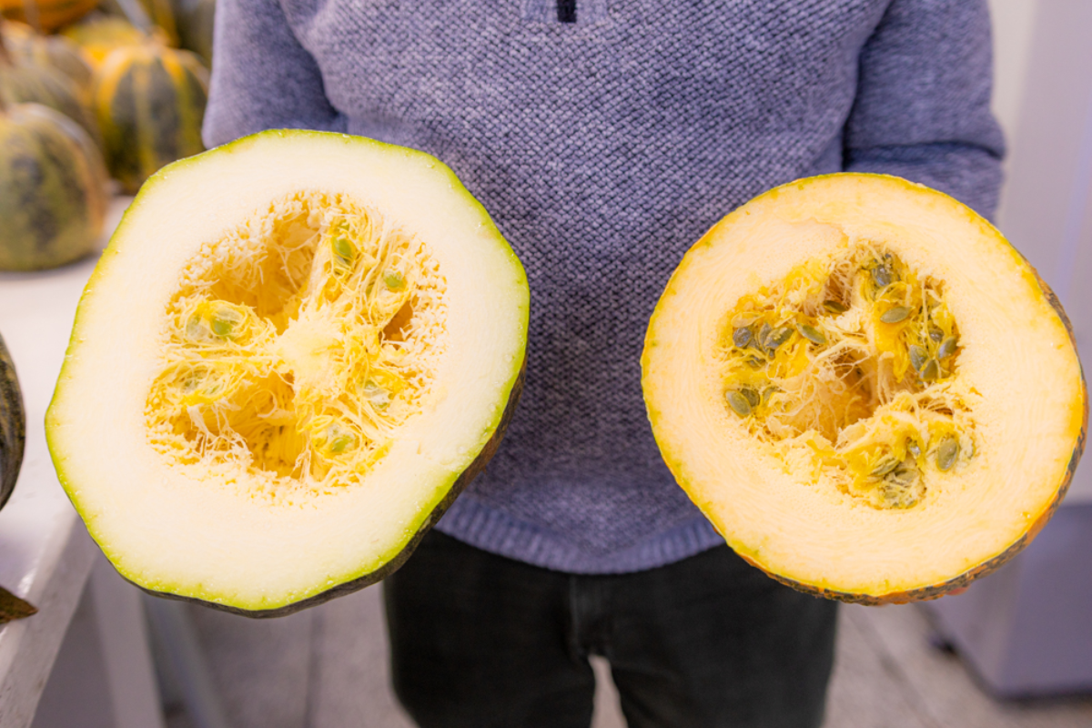Descrição da imagem