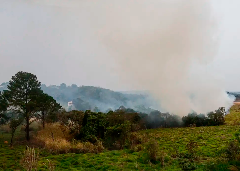 A onda de incêndios também impacta no fornecimento de água potável