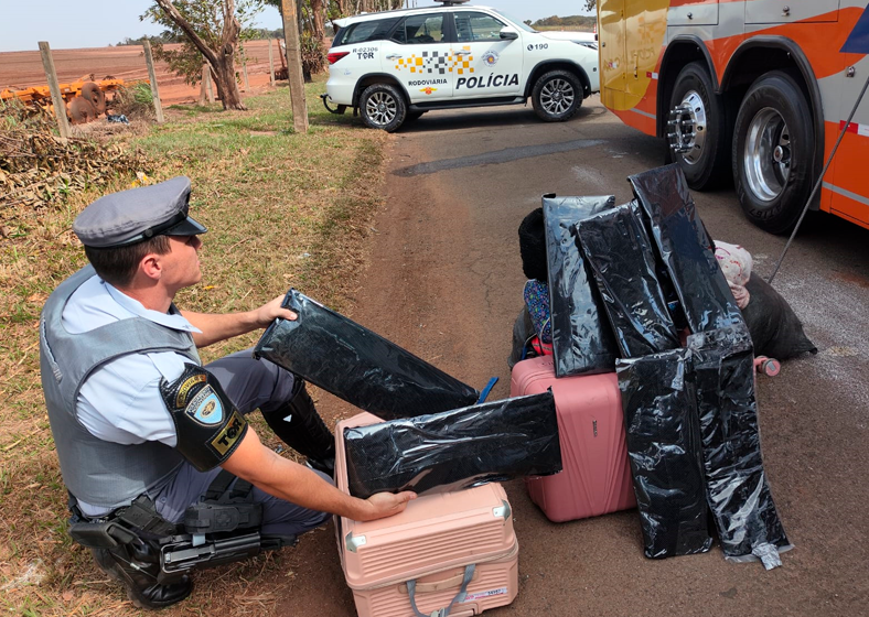 Apreensão ocorreu na manhã de quarta-feira, 7 de agosto