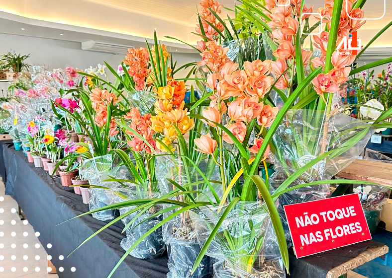 Sinalização clara proíbe o toque nas delicadas flores