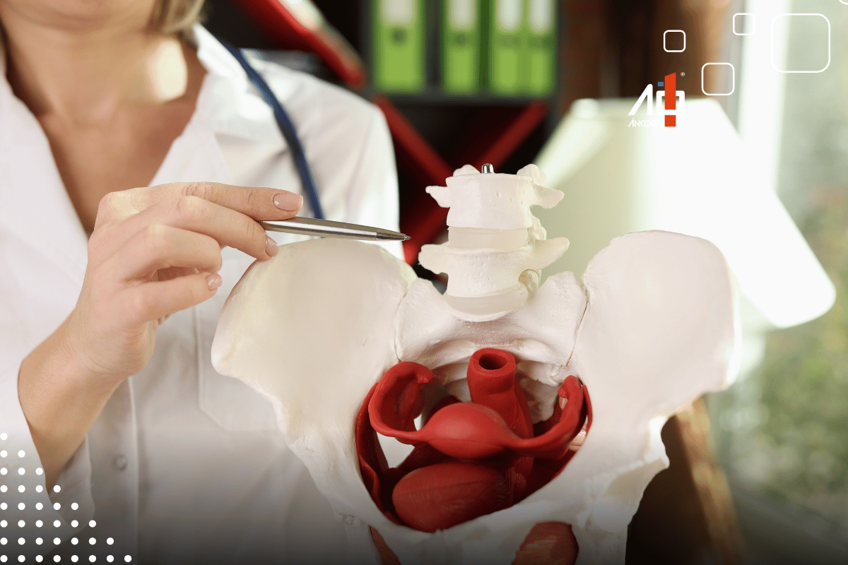 Descrição da imagem