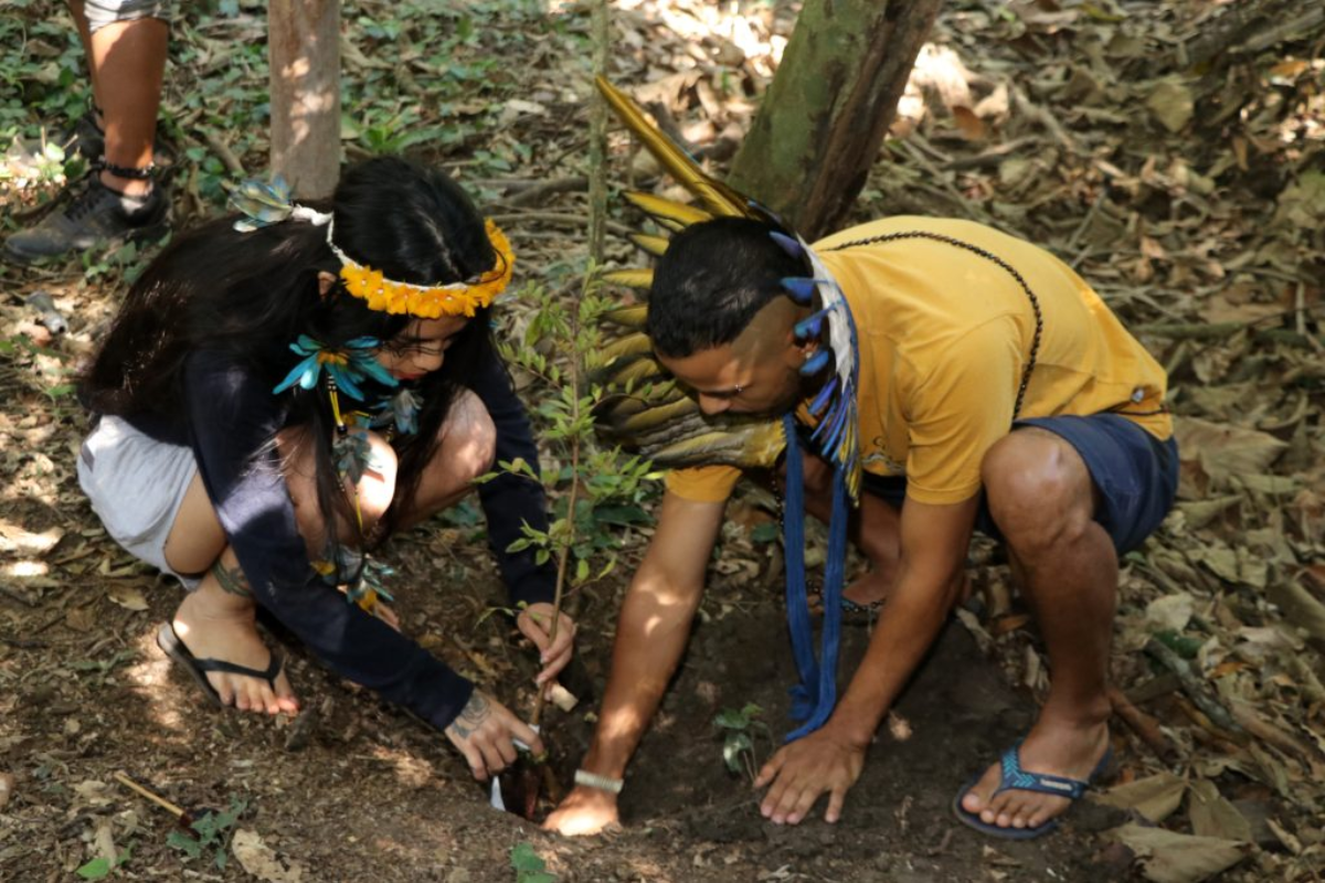 Descrição da imagem