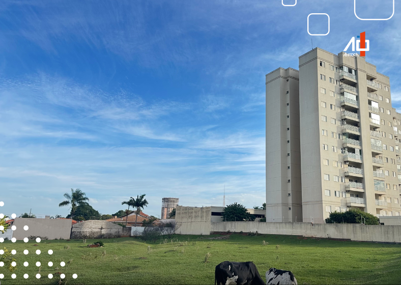 Descrição da imagem