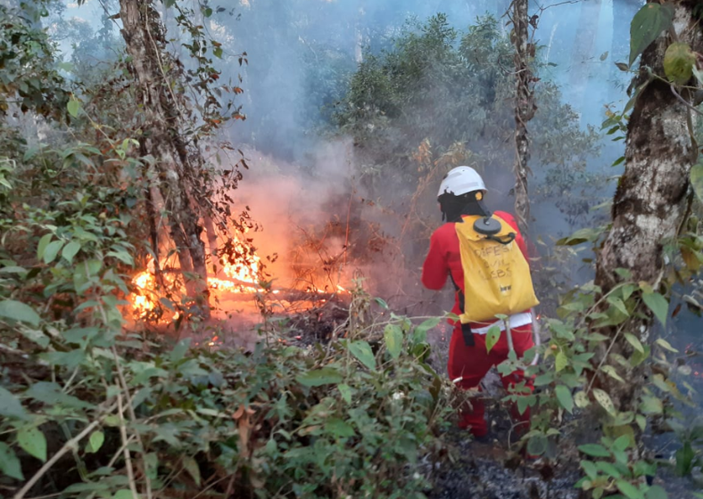 Cerca de 15 mil agentes e as 20 aeronaves seguem mobilizados para o enfrentamento aos focos de incêndio no estado de SP.