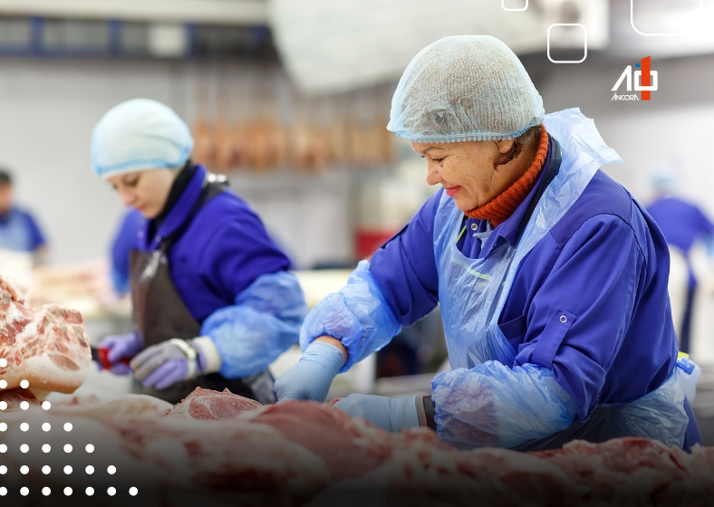 Produção recorde de carne bovina aumenta oferta no mercado e impulsiona exportações