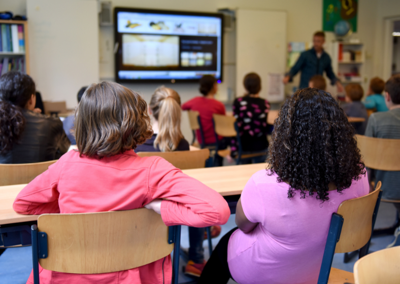 Os dados são da Pesquisa Internacional sobre Ensino e Aprendizagem (Talis) 2024, divulgada na segunda-feira (6), pela OCDE.