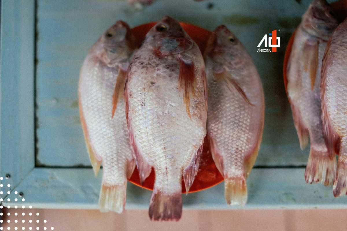 Descrição da imagem