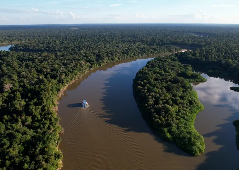 Descrição da imagem