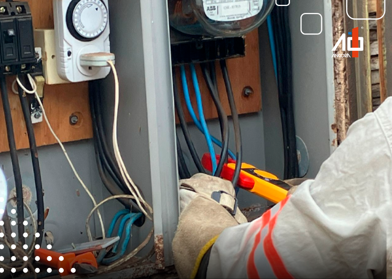 Descrição da imagem