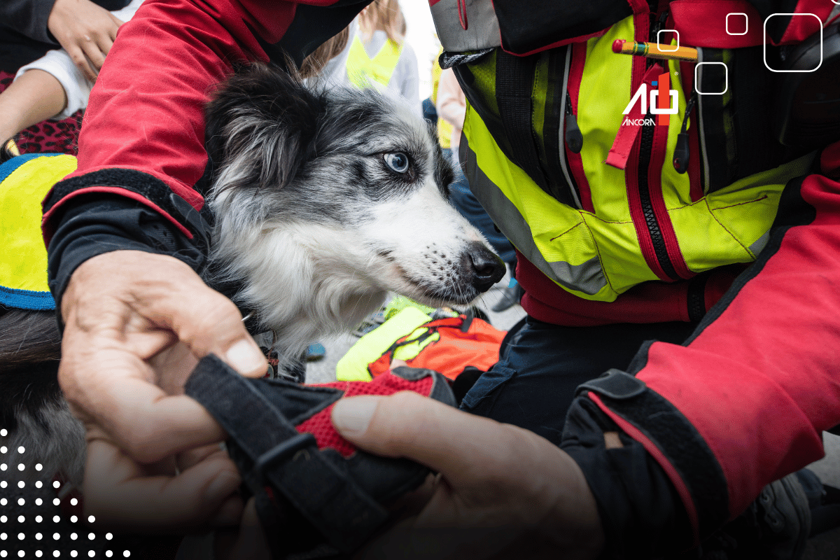 Descrição da imagem