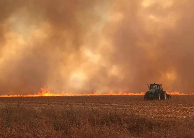 Governo de São Paulo criou Declaração de Ocorrência de Incêndio para produtores.


