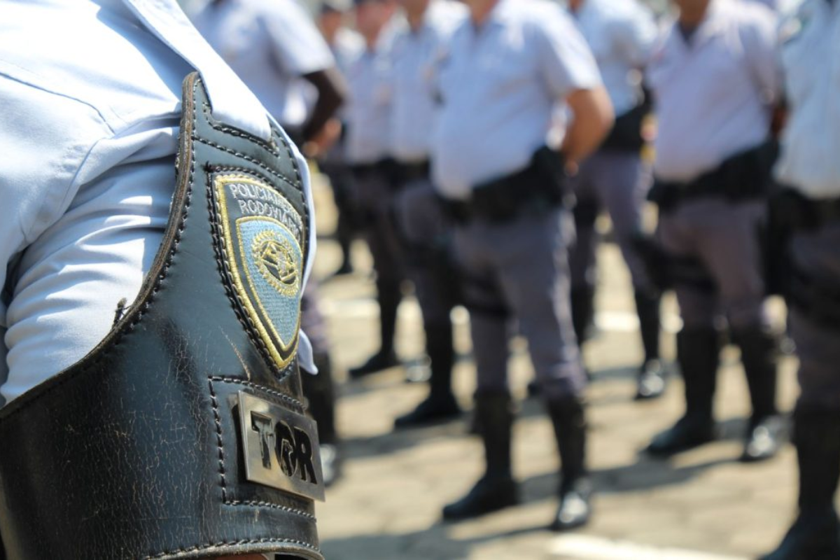 Descrição da imagem