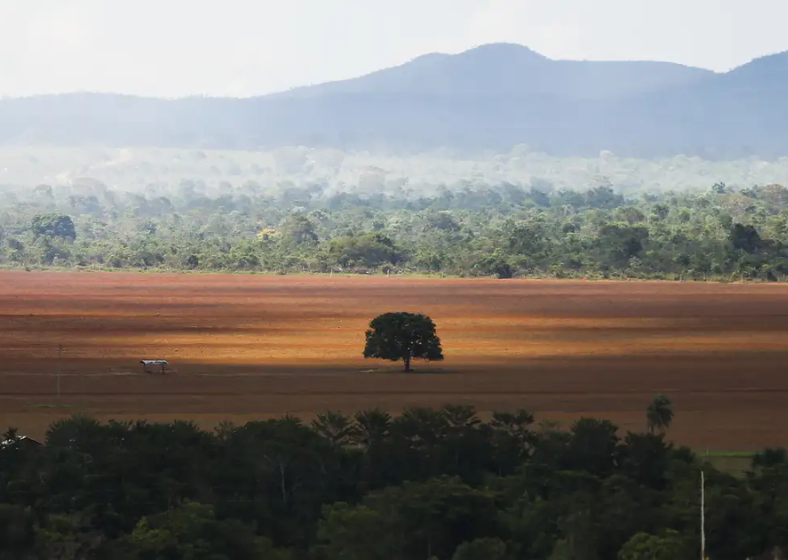 Descrição da imagem