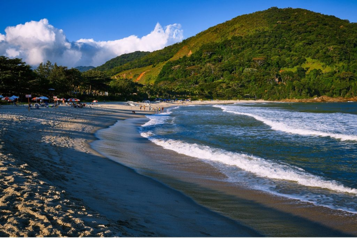 Descrição da imagem