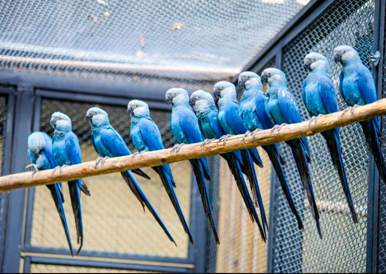 O espaço possui 900 m² e conta com salas de incubação de ovos