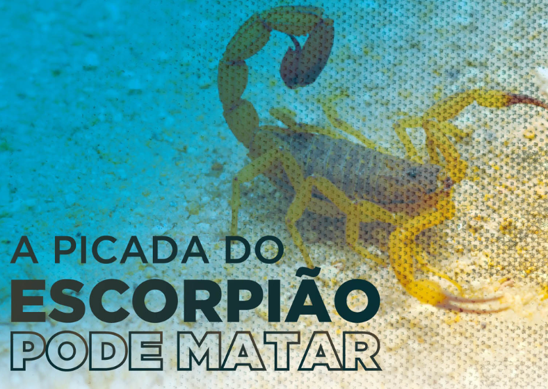 Descrição da imagem