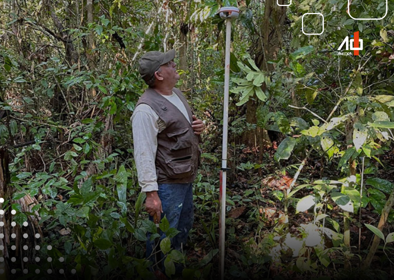 Estudo revela que secas atrasam em 20 anos a reposição de estoques de madeira na Amazônia