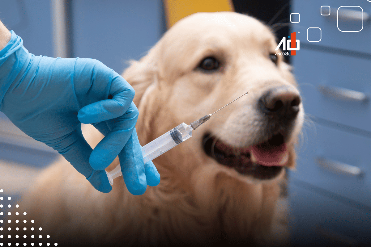 Descrição da imagem