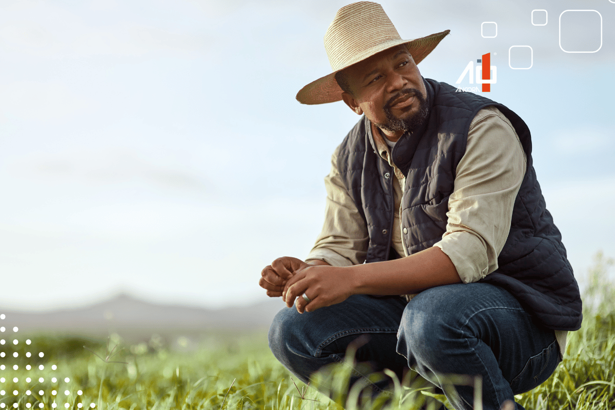 Descrição da imagem