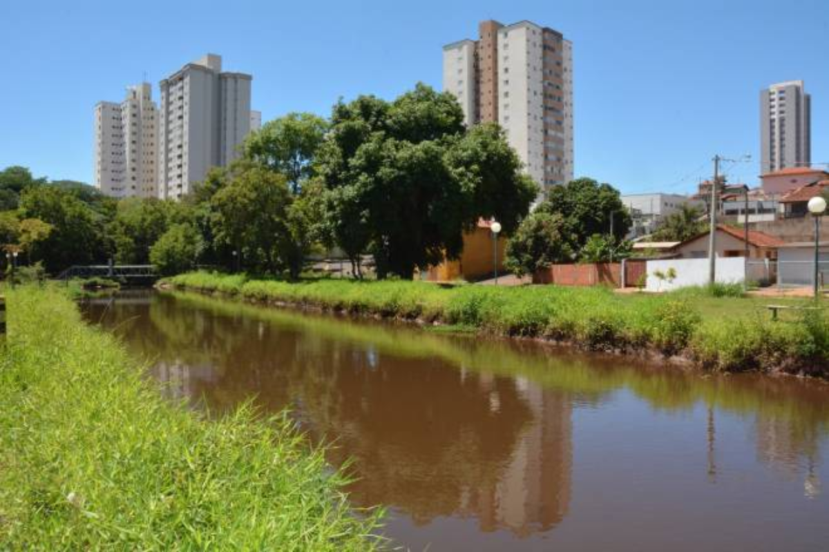 Descrição da imagem