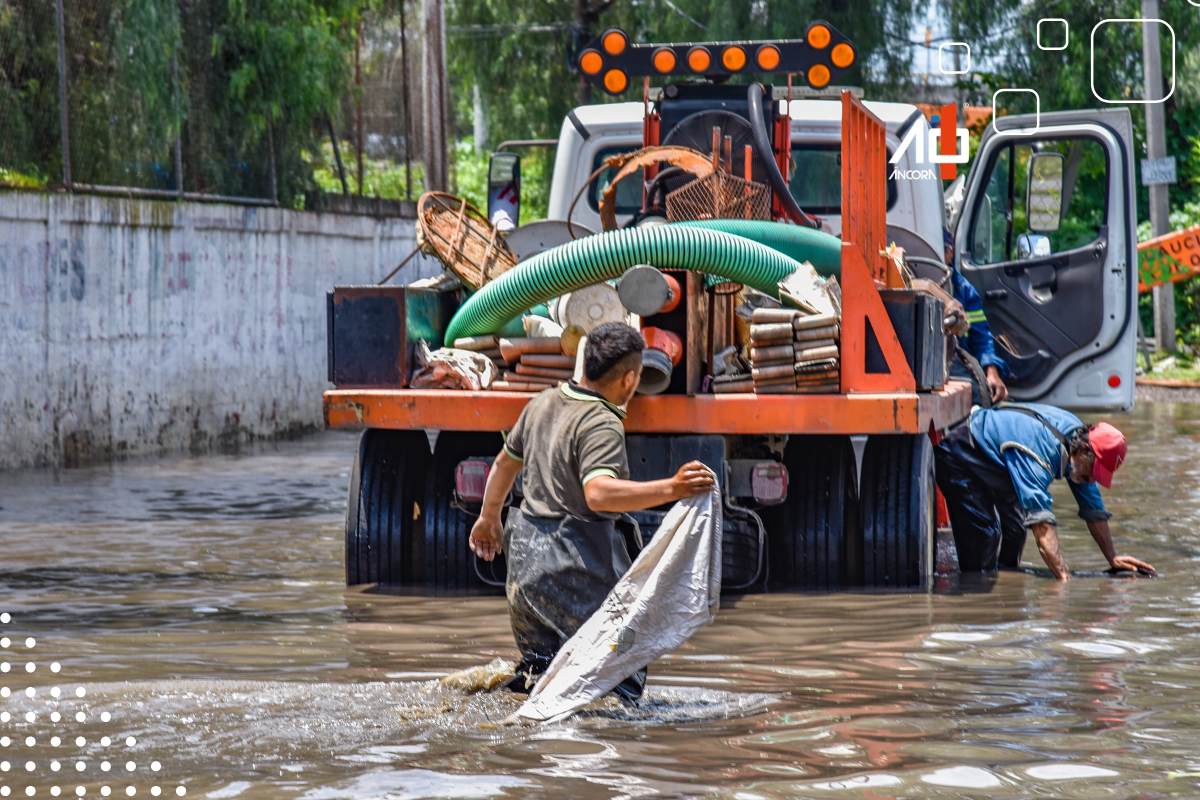 Descrição da imagem